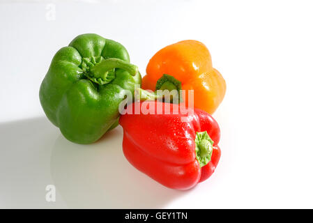 Paprika in weißem Hintergrund Stockfoto