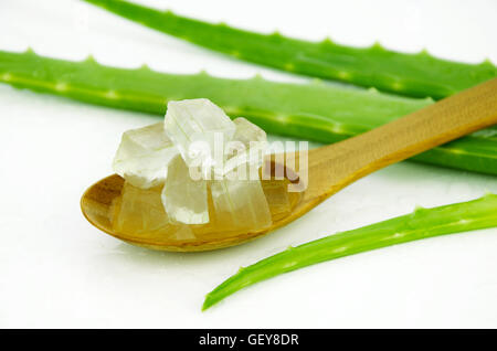 Aloe Vera Gel auf Holzlöffel. Aloe Vera Gel verwenden fast in der Nahrung, Medizin und Schönheit Industrie. Stockfoto