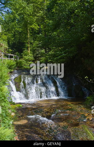 Geographie / Reisen, Deutschland, Baden-Württemberg, Lierbach in der Nähe die Allerheiligen Wasserfälle, Oppenau, Stockfoto