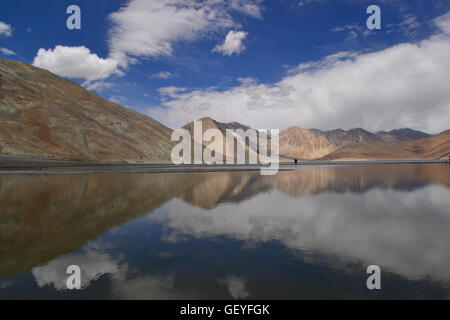 Reflexionen - ruhige Pangong Tso Stockfoto