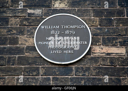 Tafel zum Gedenken an William Thompson, ein Naturforscher und Pionier der Unterwasserfotografie lebte, Weymouth Dorest Stockfoto