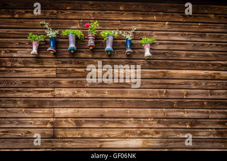 Blumenpracht in Kinder Gummistiefel erhängt an einer Wand der Scheune auf dem Bauernhof Stockfoto