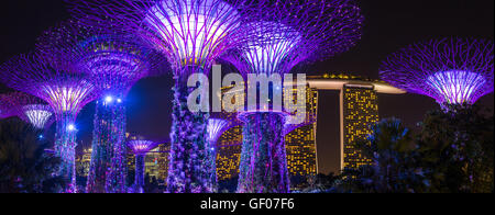 Nachtansicht des beleuchteten Supertree Grove Gardens an der Bucht in Singapur Stockfoto