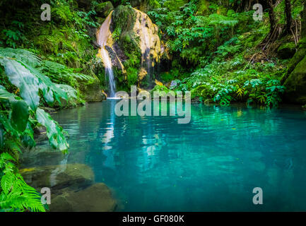 Atemberaubende Torquise Warmwasserbecken der heißen Quellen in der Caldeira Velha, Insel Sao Miguel, Azoren, Portugal Stockfoto