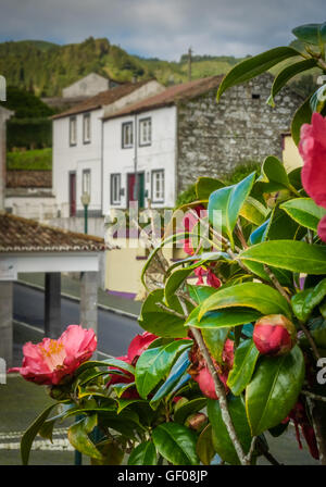 Traditionelle Häuser in Furnas Stadt, liegt in der Volacano-Krater, Sao Miguel, Azoren, Portugal Stockfoto