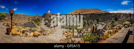 Panoramablick auf den Kaktusgarten (Jardin de Cactus) entworfen von Cesar Manrique, Lanzarote, Kanarische Inseln, Spanien. Bild ta Stockfoto