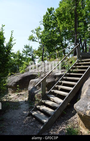 Holztreppe auf den Spuren von Dragon es Garten, ein Naturreservat in Rumänien Stockfoto