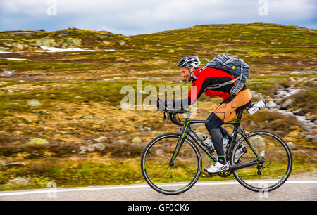 Radrennfahrer hausieren auf Route 7, Hardangervidda Nationalpark neben See Orteren, Norwegen, Hordaland, Skandinavien, Europäische Stockfoto