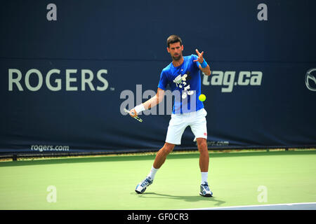 Novak Djokovic, der an den 2016 Toronto öffnen Stockfoto