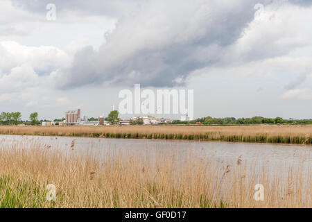 British sugar Cantley Zuckerrüben Fabrik und Schornstein über Sumpf und Felder Stockfoto