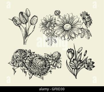 Blumen. Die Hand gezeichnete Skizze Blume, Tulpe, Astra, Aster, Krokus, Chrysantheme. Vektor-illustration Stock Vektor