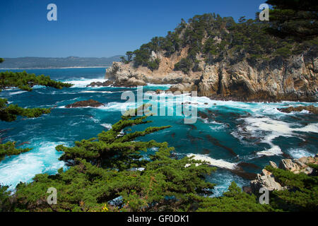 Felsenküste, Point Lobos State Reserve, Big Sur Coast Highway Scenic Byway, California Stockfoto