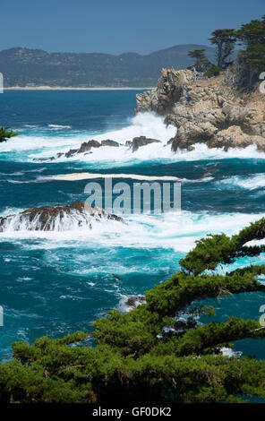 Felsenküste, Point Lobos State Reserve, Big Sur Coast Highway Scenic Byway, California Stockfoto