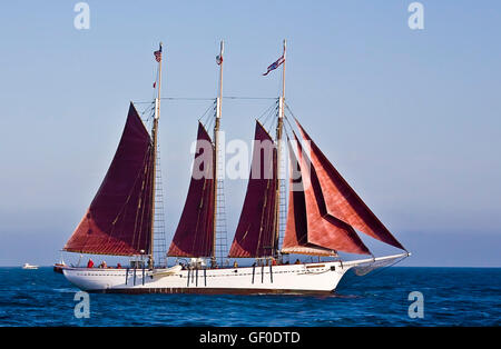 Tall Ship american Pride aus Dana Point Harbor, CA USA. Dieses 3-Mast Schoner wurde im Jahre 1941 erbaut, ursprünglich als 2-maste Stockfoto