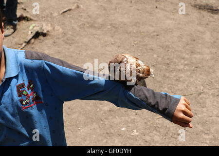 Kinder mit wilde Taube Stockfoto