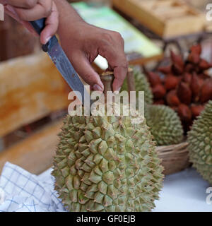 Kreditor peeling Durian für Kunden im Obstmarkt Stockfoto