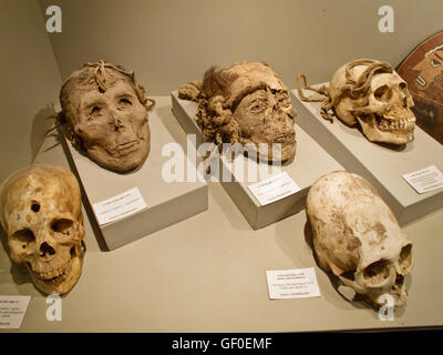 Artefakt auf dem Display an Museo Didactico Antonini in der Nazco Stadt. Stockfoto