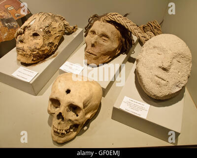 Artefakt im Museo Didactico Antonini in der Nazca-Stadt ausgestellt. Stockfoto