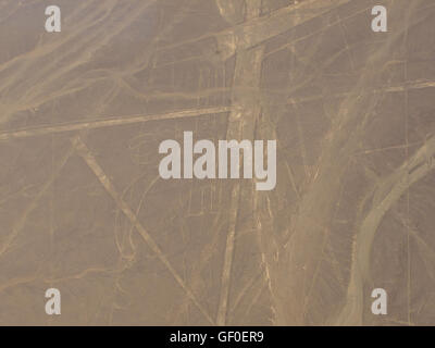 Der Papagei oder Libelle, einer der die Nazca-Linien aus dem Flugzeug gesehen. Stockfoto