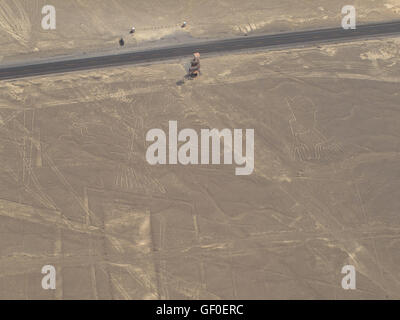 Der Baum und die Hände, Proben von Nazca-Linien aus dem Flugzeug gesehen. Stockfoto