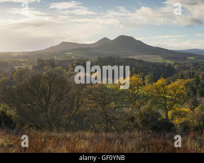 Eildon Hills von Scotts View im Spätherbst, Scottish Borders, Schottland, UK Stockfoto