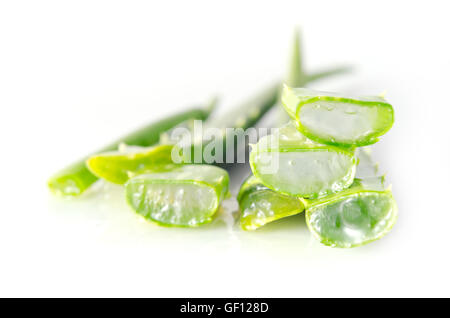 Aloe Vera (Aloe Barbadensis Mill., Star Kakteen, Aloe, Aloin, Jafferabad, Vera oder Barbados auch genannt) eine sehr nützliche Kräuter m Stockfoto