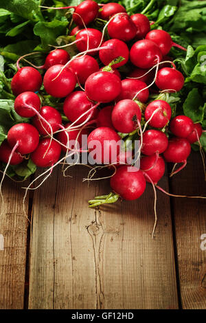 Frische Radieschen Wurzeln auf hölzernen Hintergrund. Nahaufnahme, Textfreiraum. Stockfoto