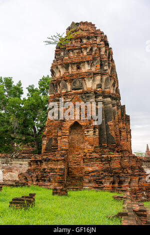 Wat Phra Mahathat in Ayutthaya, Thailand Stockfoto