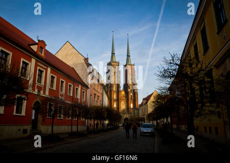 Ein Blick auf die Kathedrale von St. Johannes der Täufer in Wroclaw, Polen. Stockfoto