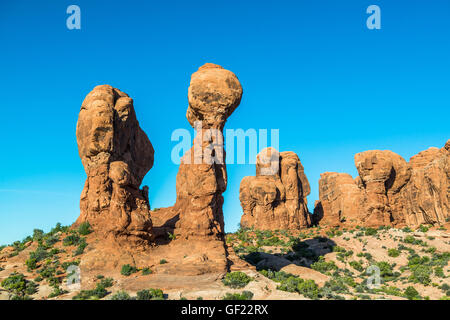 Garten Eden, Arches-Nationalpark, Utah, USA Stockfoto