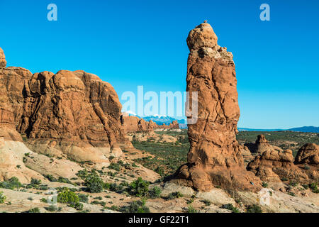 Garten Eden, Arches-Nationalpark, Utah, USA Stockfoto