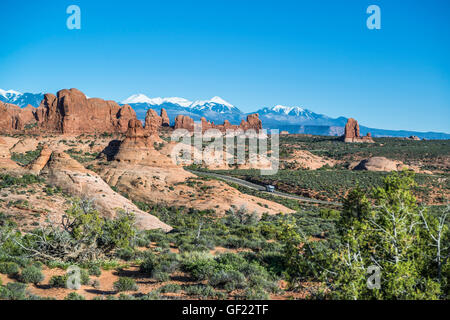 Garten Eden, Arches-Nationalpark, Utah, USA Stockfoto