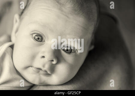 Monochrome Portrait niedlich 4-monatige Neugeborenes Babyjungen liegen auf den Armen des Vaters Stockfoto