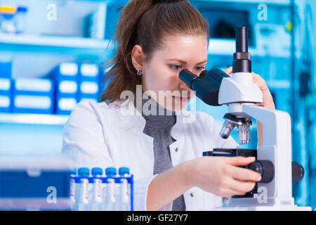 Wissenschaftlerin Blick durch ein Mikroskop im Labor Stockfoto