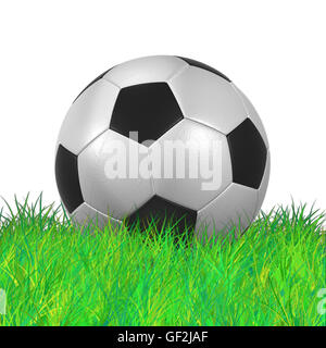 Leder-Fußball auf Graßl isoliert hochauflösende 3D illustration Stockfoto