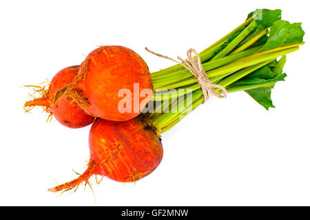 Frische rohe Orange rote Bete, Rüben Stockfoto