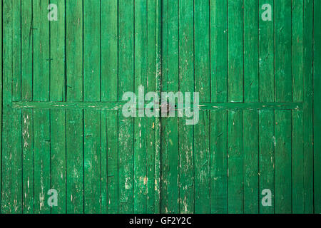 Altes Holztor grün Stockfoto