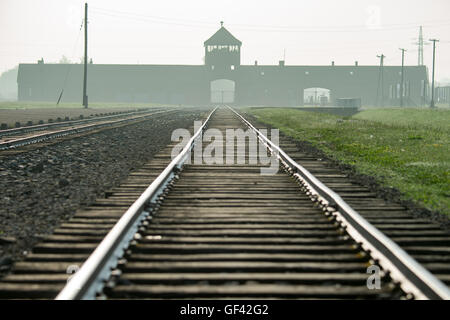 Auschwitz, Polen. 29. Juli 2016. Oswiecim, Polen. 29. Juli 2016. Gleisanlagen auf dem Gelände der ehemaligen NS-Vernichtungslager Auschwitz-Birkenau in Polen, anlässlich des Besuchs des Papstes auf Freitag, 29. Juli 2016 abgebildet. Foto: Armin Weigel/Dpa/Dpa/Alamy Live News Bildnachweis: Dpa picture-Alliance/Alamy Live News Stockfoto