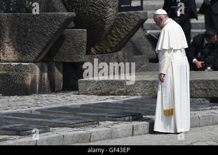 Auschwitz, Polen. 29. Juli 2016. Papst Francis besucht die ehemalige NS-Vernichtungslager Auschwitz-Birkenau in Oswiecim, Polen am Freitag, 29. Juli 2016. Er ist ein "Tag der Stille" hier verbringen, statt Teilnahme in den Weltjugendtag (WJT) in Polen. : Bildnachweis Armin Weigel/Dpa: Dpa picture-Alliance/Alamy Live News Stockfoto