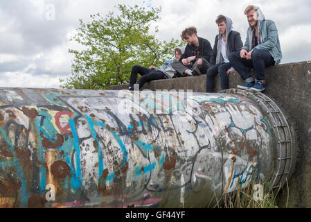 Penketh. Warrington. England. Datei-Bilder vom 19. Mai 2015. Bisher unveröffentlichte bis heute 29. Juli 2016 Bilder der Band Viola Strand von Warrington entspannend in Fiddlers Ferry direkt am Fluss Mersey. L r Jack Dakin, Kris Leonard, Fluss Reeves und Tom Lowe.The jungen starb bei einem Autounfall während auf Tour in Schweden. Die Viola Strand Debüt-Album posthum veröffentlicht heute. Bildnachweis: John Davidson Fotos/Alamy Live-Nachrichten Stockfoto