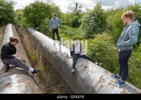 Penketh. Warrington. England. Datei-Bilder vom 19. Mai 2015. Bisher unveröffentlichte bis heute 29. Juli 2016 Bilder der Band Viola Strand von Warrington entspannend in Fiddlers Ferry direkt am Fluss Mersey. L r Kris Leonard, Jack Dakin, Fluss Reeves und Tom Lowe. Die Jungs alle starb bei einem Autounfall während auf Tour in Schweden. Die Viola Strand Debüt-Album posthum veröffentlicht heute. Bildnachweis: John Davidson Fotos/Alamy Live-Nachrichten Stockfoto