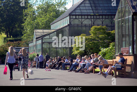 Botanische Gärten inmitten einer Parklandschaft im Westend von Glasgow Stockfoto