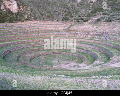 Die kreisförmige Terrassen von Moray Stockfoto