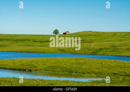 Mönchssee in Aubrac, Aveyron, Languedoc-Roussillon-Midi-Pyrénées, Frankreich, Europa Stockfoto