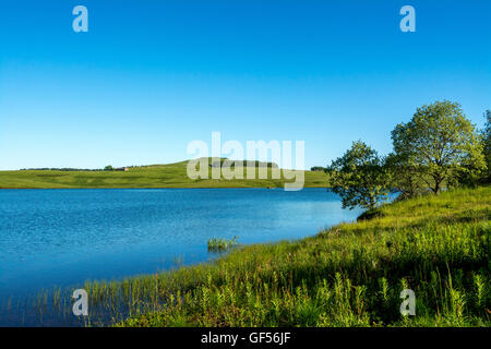 Mönchssee in Aubrac, Aveyron, Languedoc-Roussillon-Midi-Pyrénées, Frankreich, Europa Stockfoto