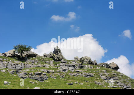 Bei Findlinge am Südhang des Ingleborough, die größte Sammlung von Findlinge in Großbritannien. Stockfoto