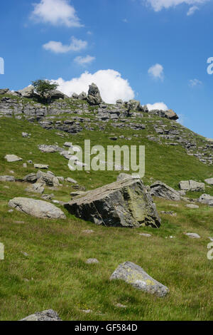 Bei Findlinge am Südhang des Ingleborough, die größte Sammlung von Findlinge in Großbritannien. Stockfoto