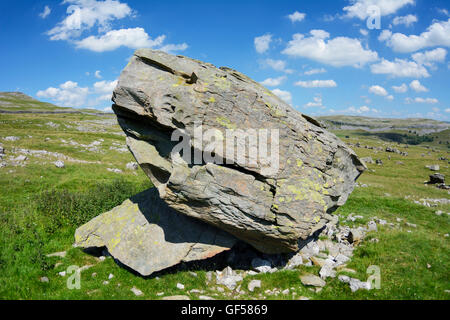 Bei Findlinge am Südhang des Ingleborough, die größte Sammlung von Findlinge in Großbritannien. Stockfoto