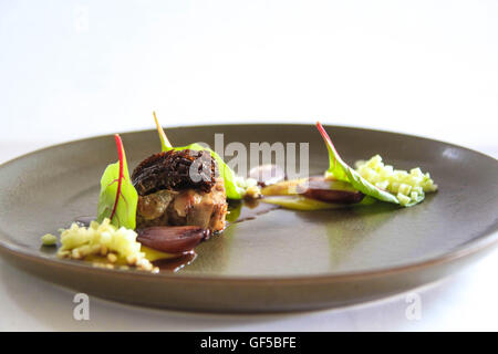 Feine Restaurants Vorspeise - Schweinefleisch-Terrine mit Morrels und Apfel Stockfoto