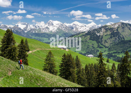 Wanderer auf eine Spur in den Schweizer Alpen im Bereich Saanenland/Simmental, genießen den Blick auf die schneebedeckten Berge. Stockfoto
